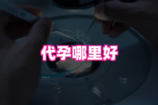 深圳助孕网站 1