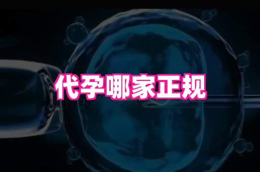 深圳助孕网站 2