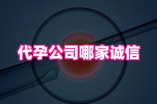深圳助孕网站 3